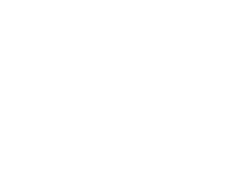 The Agency