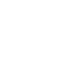 The Water Garden